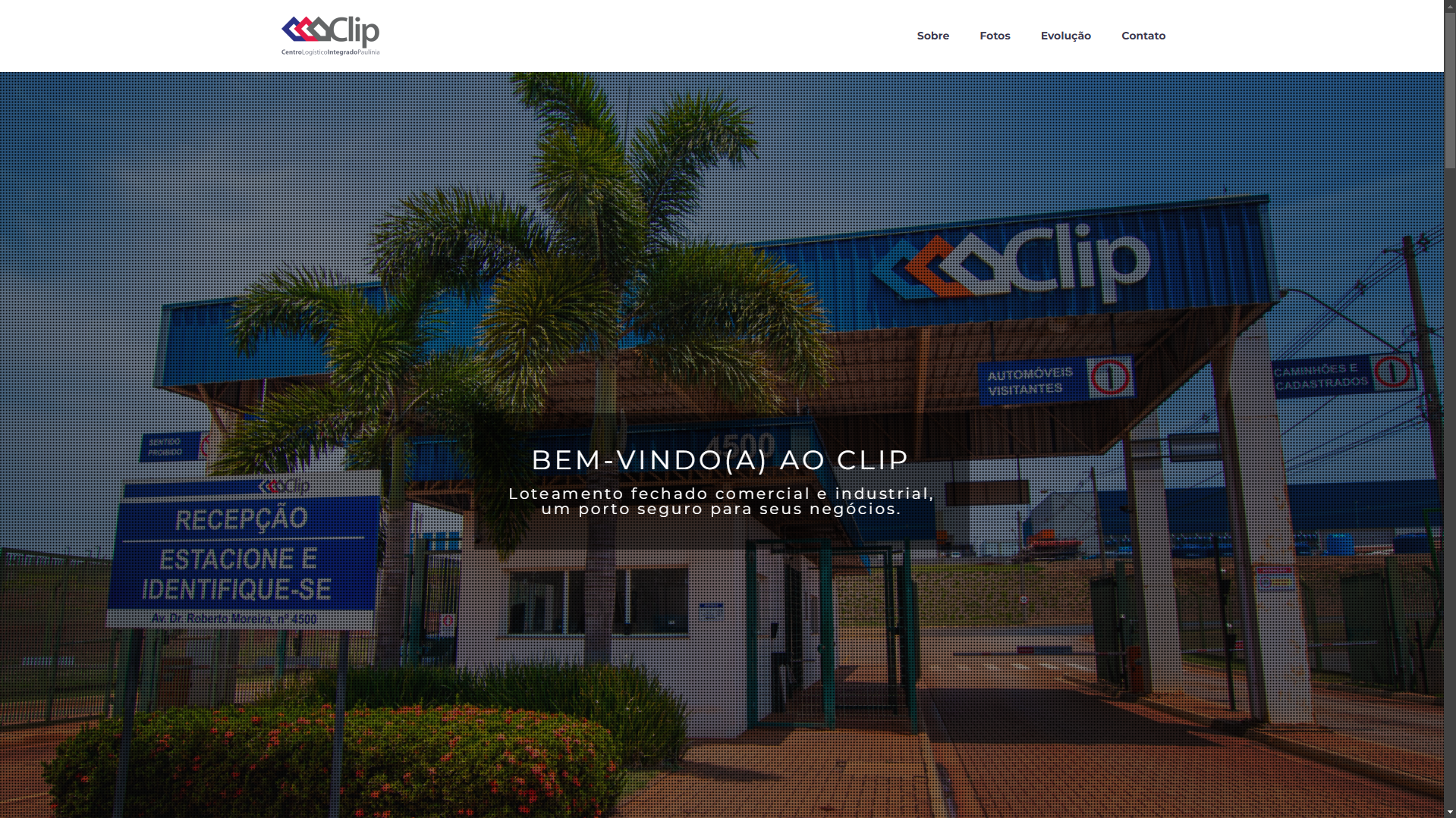 clip-paulinia